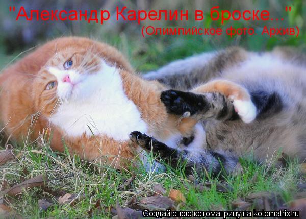 (Олимпийское фото. Архив) "Александр Карелин в броске..."... Котоматрица: (Олимпийское фото. Архив) "Александр Карелин в броске..."