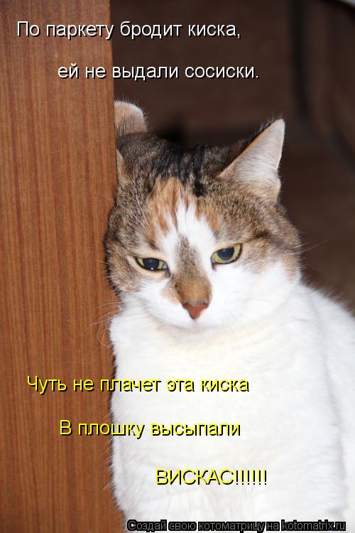 По паркету бродит киска, ей не выдали сосиски. Чуть не плачет эта киска В плошку высыпали ВИСКАС!!!!!... Котоматрица: По паркету бродит киска, ей не выдали сосиски. Чуть не плачет эта киска В плошку высыпали ВИСКАС!!!!!!