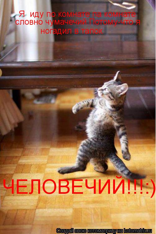 Я иду по комнате па комнате словно чумачечий.Потому-что я ногадил в тапок ЧЕЛОВЕЧИЙ!!!:)... Котоматрица: Я иду по комнате па комнате словно чумачечий.Потому-что я ногадил в тапок ЧЕЛОВЕЧИЙ!!!:)
