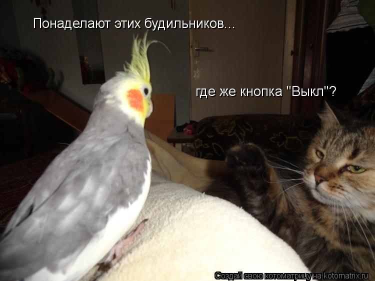 Понаделают этих будильников... где же кнопка "Выкл"?... Котоматрица: Понаделают этих будильников... где же кнопка "Выкл"?