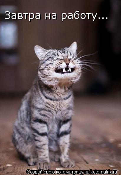 Завтра на работу...... Котоматрица: Завтра на работу...