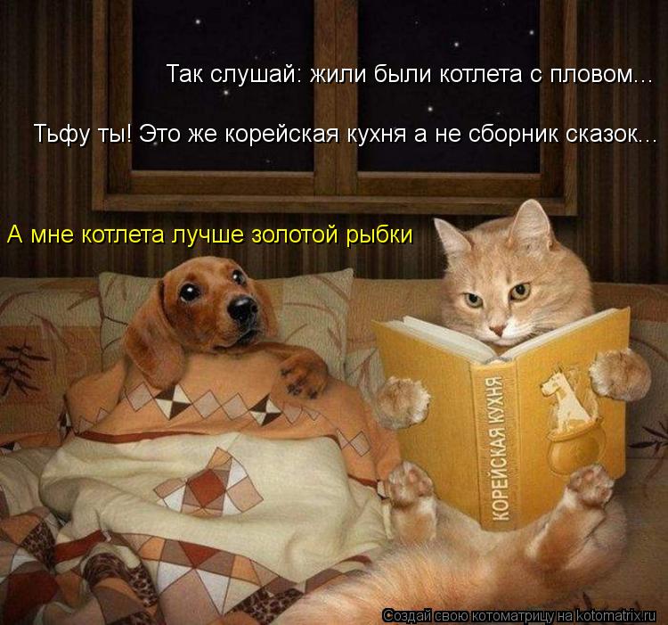 Так слушай: жили были котлета с пловом... Тьфу ты! Это же корейская кухня а не сборник сказок... А мн... Котоматрица: Так слушай: жили были котлета с пловом... Тьфу ты! Это же корейская кухня а не сборник сказок... А мне котлета лучше золотой рыбки