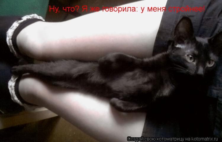 Ну, что? Я же говорила: у меня стройнее!... Котоматрица: Ну, что? Я же говорила: у меня стройнее!