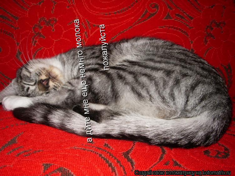 а дйте мне ещо немнго молока пожалуйста... Котоматрица: а дйте мне ещо немнго молока пожалуйста