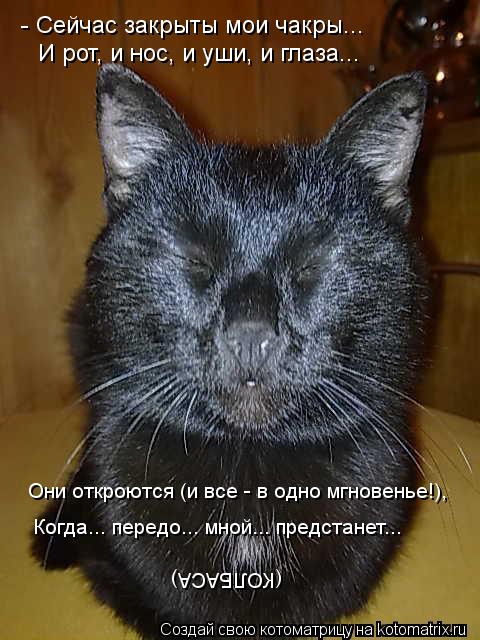 - Сейчас закрыты мои чакры... И рот, и нос, и уши, и глаза... Они откроются (и все - в одно мгновенье... Котоматрица: - Сейчас закрыты мои чакры... И рот, и нос, и уши, и глаза... Они откроются (и все - в одно мгновенье!), Когда... передо... мной... предстанет... (КОЛ