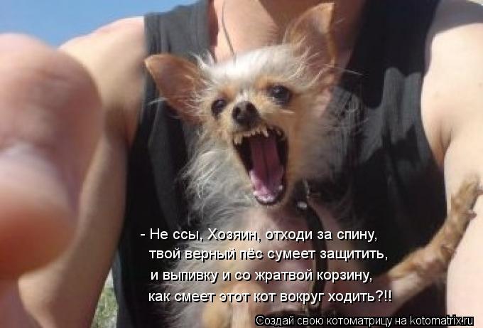 - Не ссы, Хозяин, отходи за спину, твой верный пёс сумеет защитить, и выпивку и со жратвой корзину, ... Котоматрица: - Не ссы, Хозяин, отходи за спину, твой верный пёс сумеет защитить, и выпивку и со жратвой корзину, как смеет этот кот вокруг ходить?!!