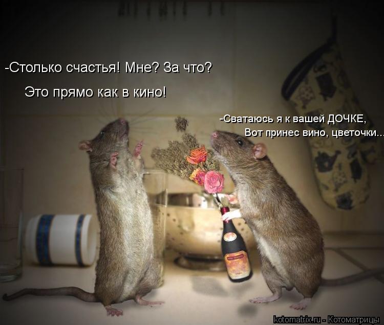 Это прямо как в кино! Вот принес вино, цветочки... -Столько счастья! Мне? За что? -Сватаюсь я к вашей... Котоматрица: Это прямо как в кино! Вот принес вино, цветочки... -Столько счастья! Мне? За что? -Сватаюсь я к вашей ДОЧКЕ,