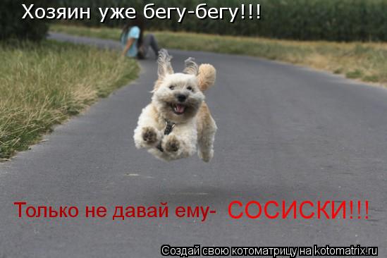 Хозяин уже бегу-бегу!!! Только не давай ему- СОСИСКИ!!!... Котоматрица: Хозяин уже бегу-бегу!!! Только не давай ему- СОСИСКИ!!!