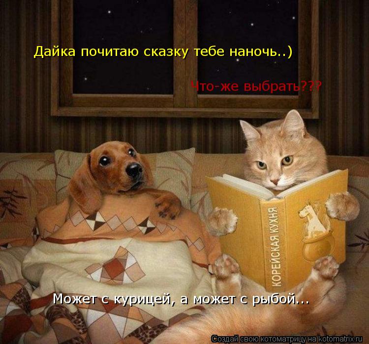 Дайка почитаю сказку тебе наночь..) Что-же выбрать??? Может с курицей, а может с рыбой...... Котоматрица: Дайка почитаю сказку тебе наночь..) Что-же выбрать??? Может с курицей, а может с рыбой...