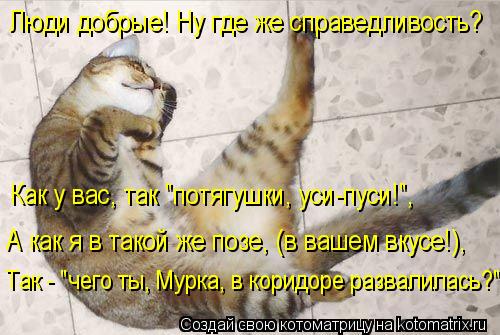 Котоматрица: Люди добрые! Ну где же справедливость? Как у вас, так "потягушки, уси-пуси!", А как я в такой же позе, (в вашем вкусе!), Так - "чего ты, Мурка, в кори