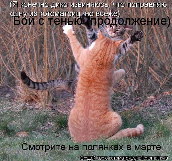 (Я конечно дико извиняюсь, что поправляю одну из котоматриц, но всеже) Бой с тенью (продолжение) Смо... Котоматрица: (Я конечно дико извиняюсь, что поправляю одну из котоматриц, но всеже) Бой с тенью (продолжение) Смотрите на полянках в марте