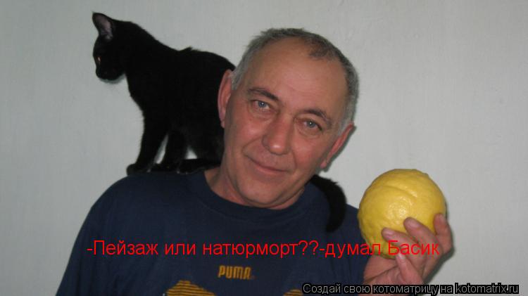 -Пейзаж или натюрморт??-думал Басик -Пейзаж или натюрморт??-думал Басик... Котоматрица: -Пейзаж или натюрморт??-думал Басик -Пейзаж или натюрморт??-думал Басик