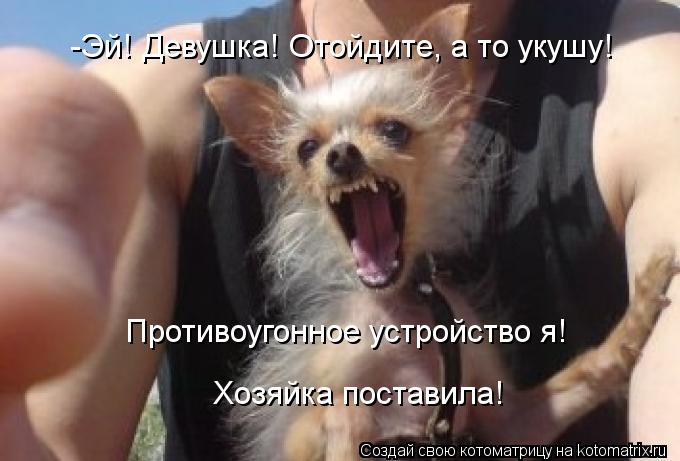 -Эй! Девушка! Отойдите, а то укушу! Противоугонное устройство я! Хозяйка поставила!... Котоматрица: -Эй! Девушка! Отойдите, а то укушу! Противоугонное устройство я! Хозяйка поставила!