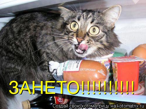 ЗАНЕТО!!!!!!!!!!... Котоматрица: ЗАНЕТО!!!!!!!!!!