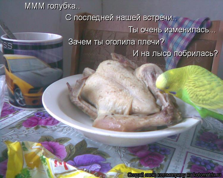 МММ голубка.. С последней нашей встречи.. Ты очень изменилась... Зачем ты оголила плечи? И на лысо по... Котоматрица: МММ голубка.. С последней нашей встречи.. Ты очень изменилась... Зачем ты оголила плечи? И на лысо побрилась?