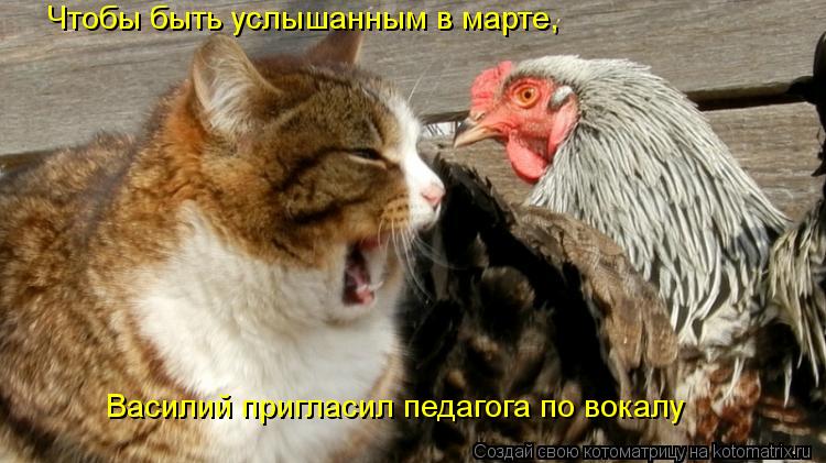 Василий пригласил педагога по вокалу Чтобы быть услышанным в марте,... Котоматрица: Василий пригласил педагога по вокалу Чтобы быть услышанным в марте,
