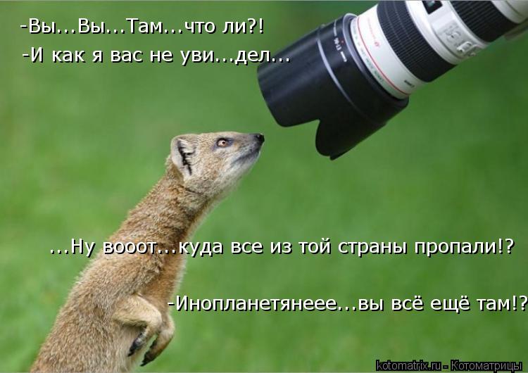 -Вы...Вы...Там...что ли?! -Вы...Вы...Там...что ли?! ...Ну вооот...куда все из той страны пропали!? -И... Котоматрица: -Вы...Вы...Там...что ли?! -Вы...Вы...Там...что ли?! ...Ну вооот...куда все из той страны пропали!? -И как я вас не уви...дел... -Инопланетянеее...вы в