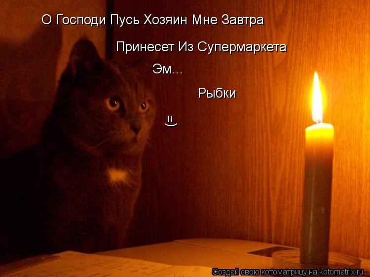 О Господи Пусь Хозяин Мне Завтра Принесет Из Супермаркета Эм... Рыбки (=... Котоматрица: О Господи Пусь Хозяин Мне Завтра Принесет Из Супермаркета Эм... Рыбки (=