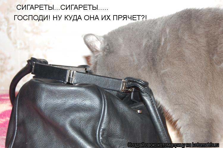 СИГАРЕТЫ...СИГАРЕТЫ..... ГОСПОДИ! НУ КУДА ОНА ИХ ПРЯЧЕТ?!... Котоматрица: СИГАРЕТЫ...СИГАРЕТЫ..... ГОСПОДИ! НУ КУДА ОНА ИХ ПРЯЧЕТ?!