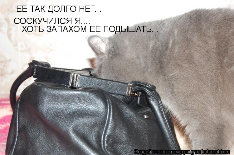 ЕЕ ТАК ДОЛГО НЕТ... СОСКУЧИЛСЯ Я.... ХОТЬ ЗАПАХОМ ЕЕ ПОДЫШАТЬ...... Котоматрица: ЕЕ ТАК ДОЛГО НЕТ... СОСКУЧИЛСЯ Я.... ХОТЬ ЗАПАХОМ ЕЕ ПОДЫШАТЬ...