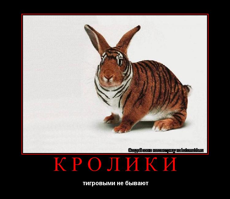 кролики тигровыми не бывают... Котоматрица: кролики тигровыми не бывают