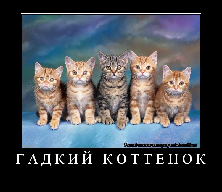 гадкий коттёнок ... Котоматрица: гадкий коттёнок