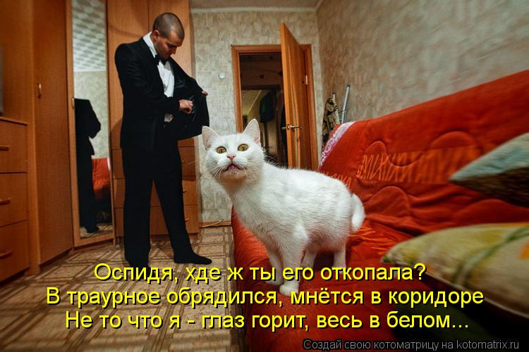 В траурное обрядился, мнётся в коридоре Не то что я - глаз горит, весь в белом... Оспидя, хде ж ты ег... Котоматрица: В траурное обрядился, мнётся в коридоре Не то что я - глаз горит, весь в белом... Оспидя, хде ж ты его откопала?