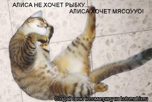 АЛИСА НЕ ХОЧЕТ РЫБКУ... АЛИСА ХОЧЕТ МЯСОУУО!... Котоматрица: АЛИСА НЕ ХОЧЕТ РЫБКУ... АЛИСА ХОЧЕТ МЯСОУУО!