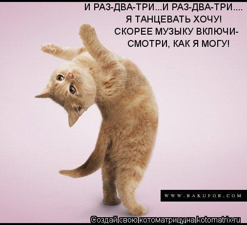 И РАЗ-ДВА-ТРИ...И РАЗ-ДВА-ТРИ.... Я ТАНЦЕВАТЬ ХОЧУ! СКОРЕЕ МУЗЫКУ ВКЛЮЧИ- СМОТРИ, КАК Я МОГУ!... Котоматрица: И РАЗ-ДВА-ТРИ...И РАЗ-ДВА-ТРИ.... Я ТАНЦЕВАТЬ ХОЧУ! СКОРЕЕ МУЗЫКУ ВКЛЮЧИ- СМОТРИ, КАК Я МОГУ!