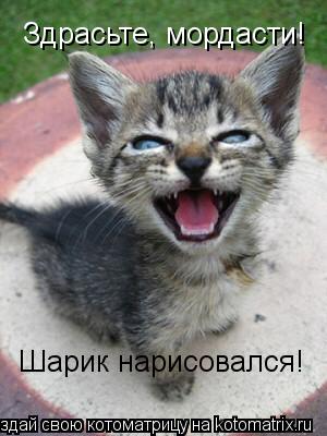 Здрасьте, мордасти! Шарик нарисовался!... Котоматрица: Здрасьте, мордасти! Шарик нарисовался!
