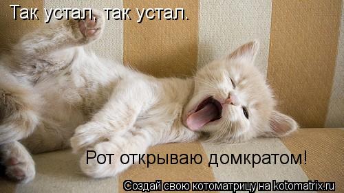 Так устал, так устал. Рот открываю домкратом!... Котоматрица: Так устал, так устал. Рот открываю домкратом!