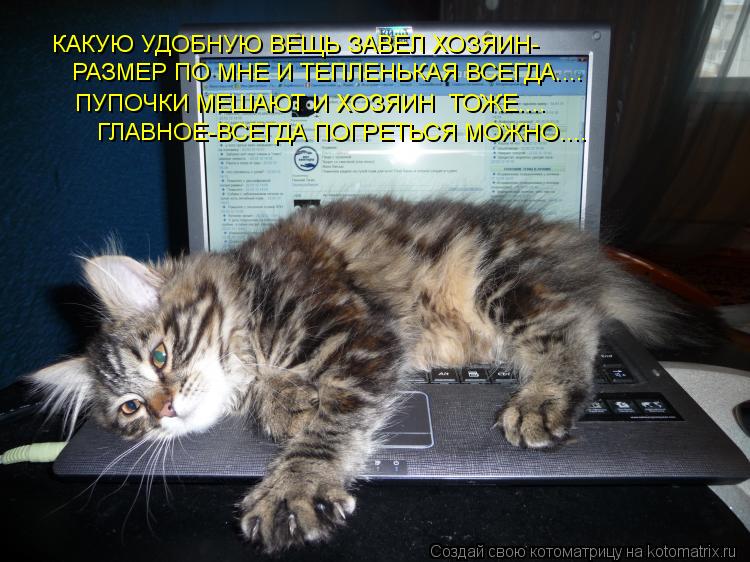 КАКУЮ УДОБНУЮ ВЕЩЬ ЗАВЕЛ ХОЗЯИН- РАЗМЕР ПО МНЕ И ТЕПЛЕНЬКАЯ ВСЕГДА.... ПУПОЧКИ МЕШАЮТ И ХОЗЯИН ТОЖЕ... Котоматрица: КАКУЮ УДОБНУЮ ВЕЩЬ ЗАВЕЛ ХОЗЯИН- РАЗМЕР ПО МНЕ И ТЕПЛЕНЬКАЯ ВСЕГДА.... ПУПОЧКИ МЕШАЮТ И ХОЗЯИН ТОЖЕ.... ГЛАВНОЕ-ВСЕГДА ПОГРЕТЬСЯ МОЖНО....