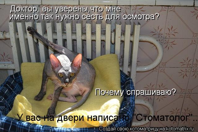 Доктор, вы уверены,что мне именно так нужно сесть для осмотра? Почему спрашиваю? Почему спрашиваю? ... Котоматрица: Доктор, вы уверены,что мне именно так нужно сесть для осмотра? Почему спрашиваю? Почему спрашиваю? У вас на двери написано "Стоматолог"...
