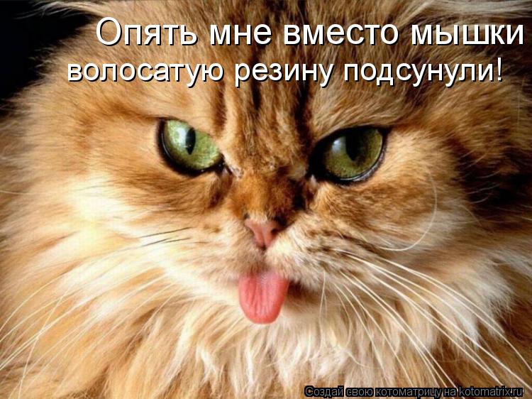 Опять мне вместо мышки волосатую резину подсунули!... Котоматрица: Опять мне вместо мышки волосатую резину подсунули!