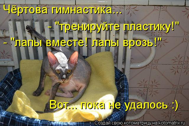 Котоматрица: Чёртова гимнастика...  - "тренируйте пластику!"  - "лапы вместе! лапы врозь!" Вот... пока не удалось :)