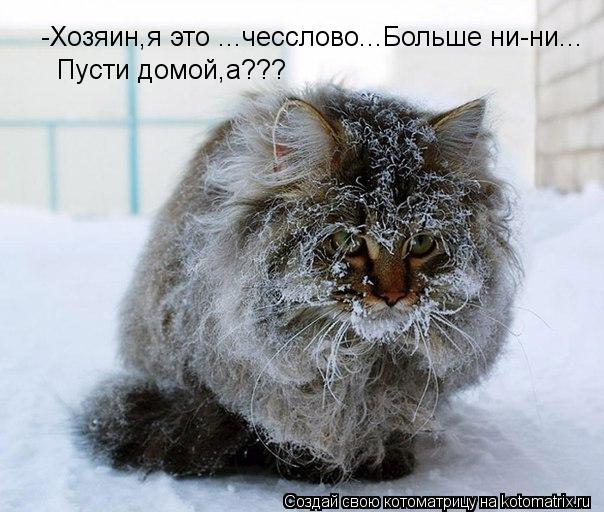 -Хозяин,я это ...чесслово...Больше ни-ни... Пусти домой,а???... Котоматрица: -Хозяин,я это ...чесслово...Больше ни-ни... Пусти домой,а???