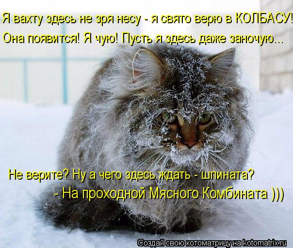 Я вахту здесь не зря несу - я свято верю в КОЛБАСУ! Она появится! Я чую! Пусть я здесь даже заночую..... Котоматрица: Я вахту здесь не зря несу - я свято верю в КОЛБАСУ! Она появится! Я чую! Пусть я здесь даже заночую... Не верите? Ну а чего здесь ждать - шпината?