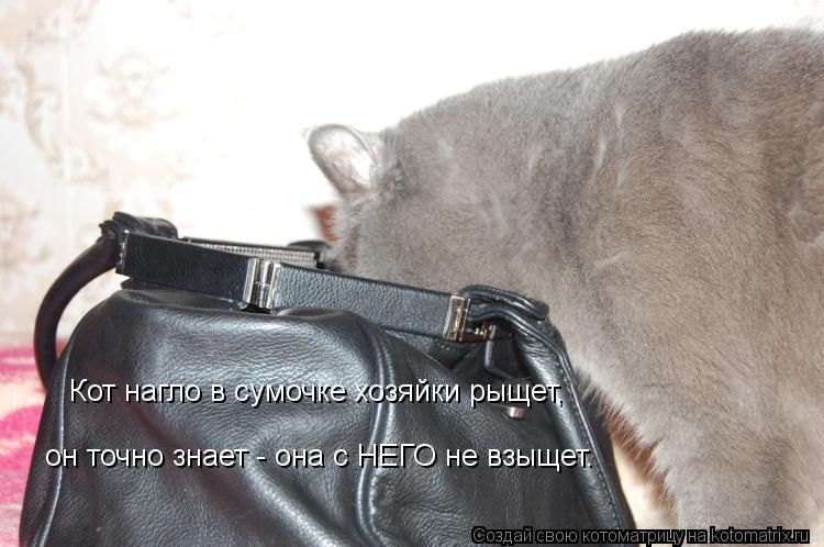 Кот нагло в сумочке хозяйки рыщет, он точно знает - она с НЕГО не взыщет.... Котоматрица: Кот нагло в сумочке хозяйки рыщет, он точно знает - она с НЕГО не взыщет.