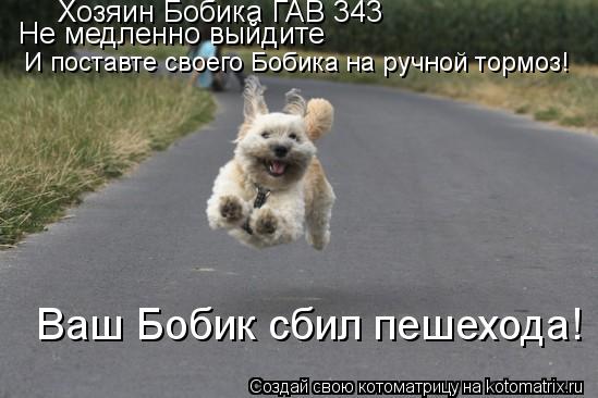 Хозяин Бобика ГАВ 343 Не медленно выйдите И поставте своего Бобика на ручной тормоз! Ваш Бобик сбил п... Котоматрица: Хозяин Бобика ГАВ 343 Не медленно выйдите И поставте своего Бобика на ручной тормоз! Ваш Бобик сбил пешехода!