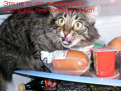 Это не то что ты подумал! Это всего лиж колбаска и кот!... Котоматрица: Это не то что ты подумал! Это всего лиж колбаска и кот!