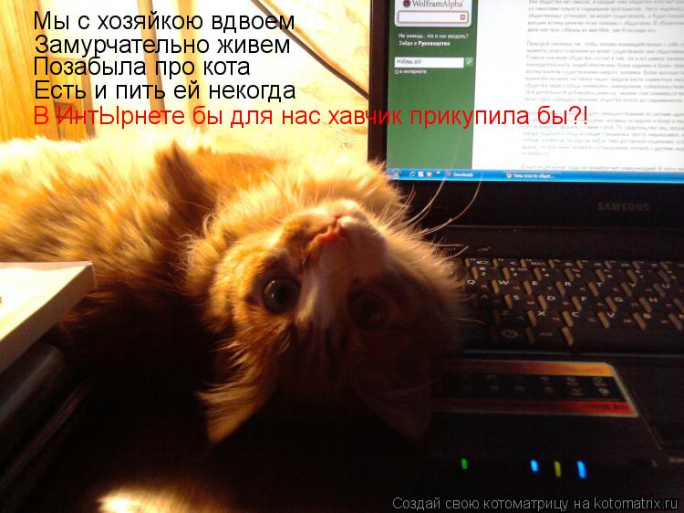 Мы с хозяйкою вдвоем Замурчательно живем Позабыла про кота Есть и пить ей некогда В ИнтЫрнете бы для... Котоматрица: Мы с хозяйкою вдвоем Замурчательно живем Позабыла про кота Есть и пить ей некогда В ИнтЫрнете бы для нас хавчик прикупила бы?!