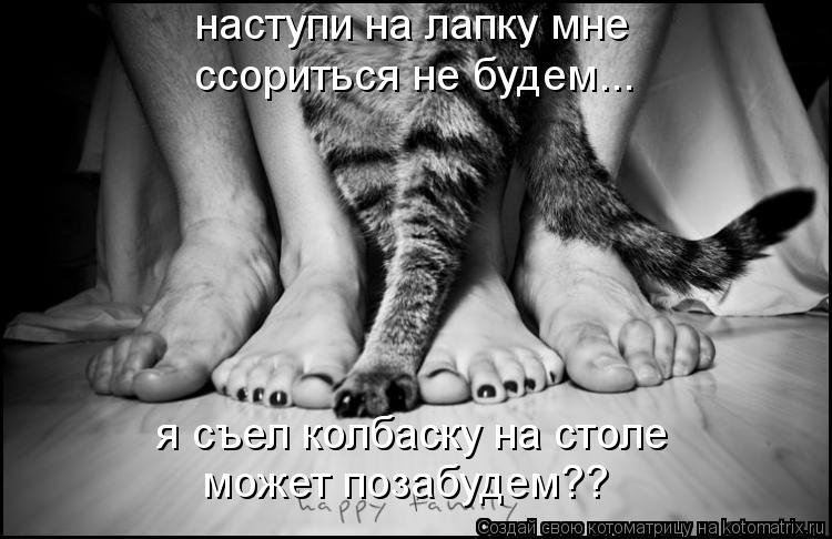 наступи на лапку мне ссориться не будем... я съел колбаску на столе может позабудем??... Котоматрица: наступи на лапку мне ссориться не будем... я съел колбаску на столе может позабудем??