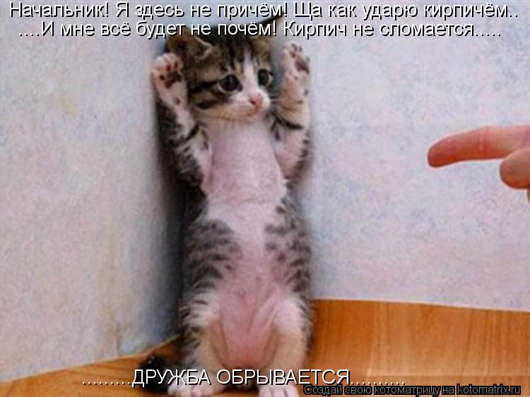 Начальник! Я здесь не причём! Ща как ударю кирпичём.. ....И мне всё будет не почём! Кирпич не сломает... Котоматрица: Начальник! Я здесь не причём! Ща как ударю кирпичём.. ....И мне всё будет не почём! Кирпич не сломается..... .........ДРУЖБА ОБРЫВАЕТСЯ..........