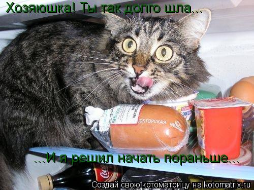 Хозяюшка! Ты так долго шла... ...И я решил начать пораньше...... Котоматрица: Хозяюшка! Ты так долго шла... ...И я решил начать пораньше...