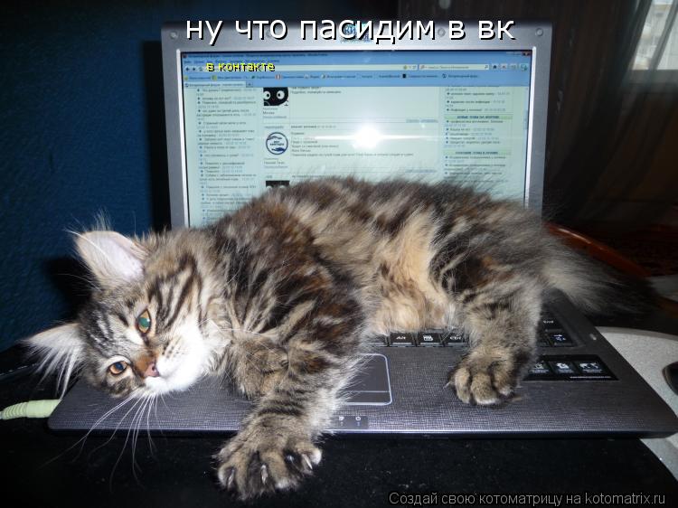 ну что пасидим в вк в контакте... Котоматрица: ну что пасидим в вк в контакте
