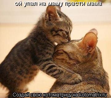 ой упал на маму прасти мама... Котоматрица: ой упал на маму прасти мама