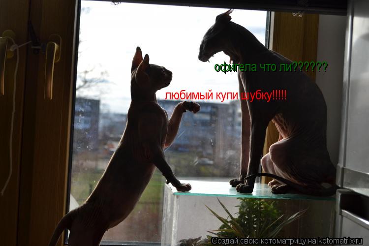 любимый купи шубку!!!!! офигела что ли??????... Котоматрица: любимый купи шубку!!!!! офигела что ли??????