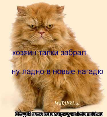хозяин тапки забрал ну ладно в новые нагадю... Котоматрица: хозяин тапки забрал ну ладно в новые нагадю