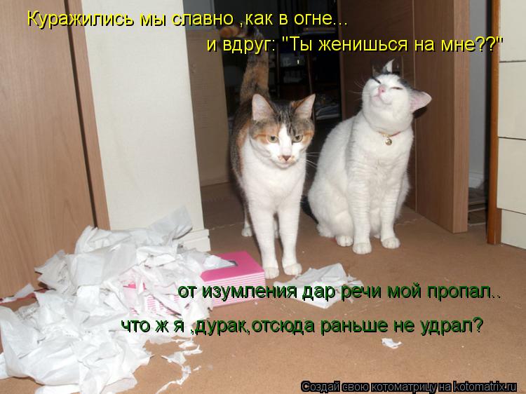 Куражились мы славно ,как в огне... и вдруг: "Ты женишься на мне??" от изумления дар речи мой пропал.... Котоматрица: Куражились мы славно ,как в огне... и вдруг: "Ты женишься на мне??" от изумления дар речи мой пропал.. что ж я ,дурак,отсюда раньше не удрал?
