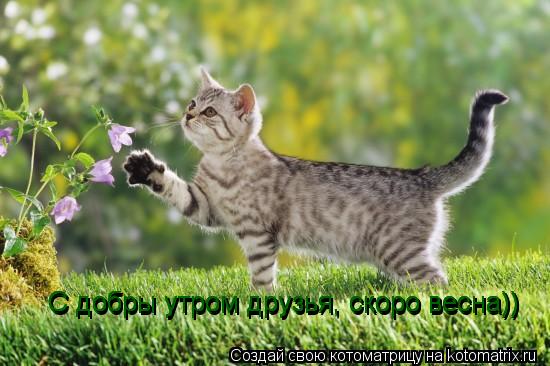 С добры утром друзья, скоро весна)) С добры утром друзья, скоро весна)) С добры утром друзья, скоро в... Котоматрица: С добры утром друзья, скоро весна)) С добры утром друзья, скоро весна)) С добры утром друзья, скоро весна))